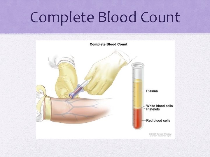 Complete Blood Count 