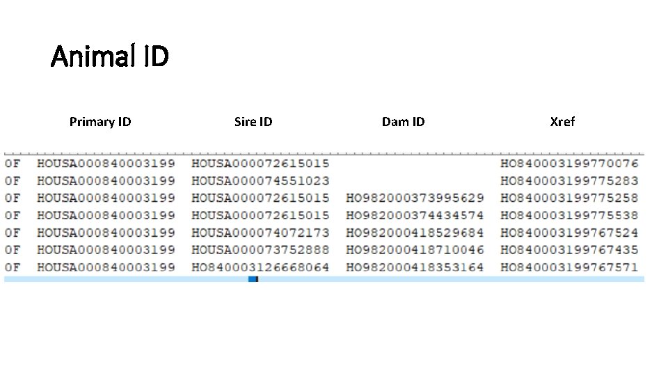 Animal ID Primary ID Sire ID Dam ID Xref 