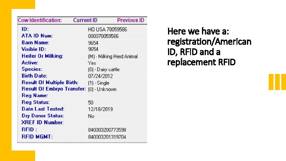 Here we have a: registration/American ID, RFID and a replacement RFID 