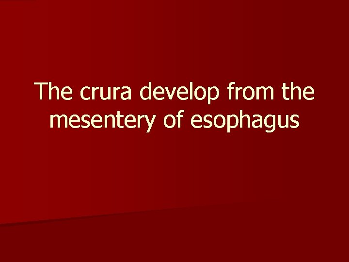 The crura develop from the mesentery of esophagus 