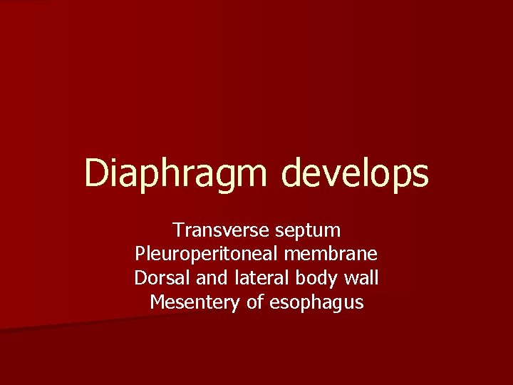 Diaphragm develops Transverse septum Pleuroperitoneal membrane Dorsal and lateral body wall Mesentery of esophagus