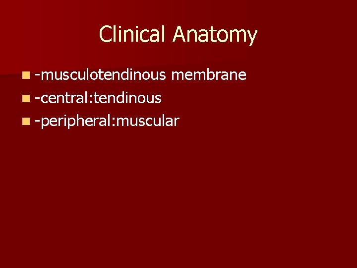 Clinical Anatomy n -musculotendinous membrane n -central: tendinous n -peripheral: muscular 