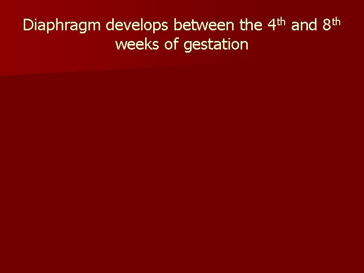 Diaphragm develops between the 4 th and 8 th weeks of gestation 