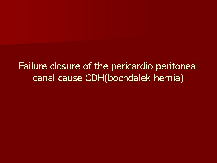 Failure closure of the pericardio peritoneal canal cause CDH(bochdalek hernia) 