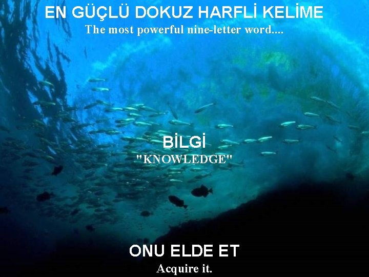 EN GÜÇLÜ DOKUZ HARFLİ KELİME The most powerful nine-letter word. . BİLGİ "KNOWLEDGE" ONU