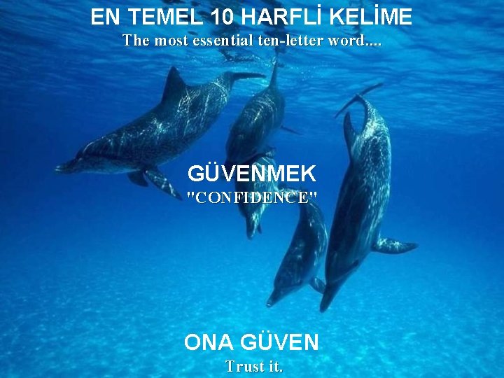 EN TEMEL 10 HARFLİ KELİME The most essential ten-letter word. . GÜVENMEK "CONFIDENCE" ONA