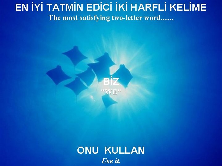 EN İYİ TATMİN EDİCİ İKİ HARFLİ KELİME The most satisfying two-letter word. . .