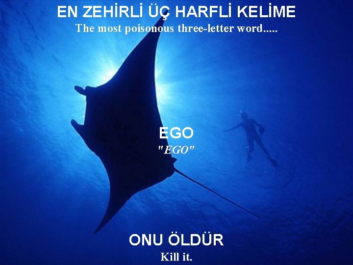 EN ZEHİRLİ ÜÇ HARFLİ KELİME The most poisonous three-letter word. . . EGO "EGO"