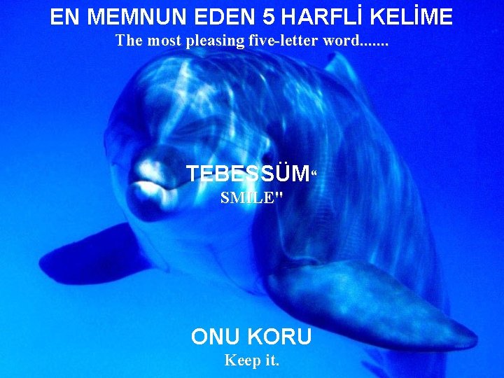EN MEMNUN EDEN 5 HARFLİ KELİME The most pleasing five-letter word. . . .