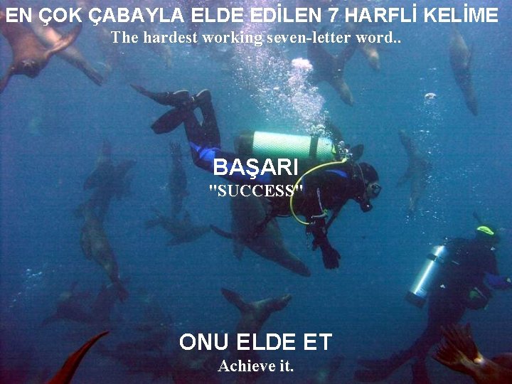 EN ÇOK ÇABAYLA ELDE EDİLEN 7 HARFLİ KELİME The hardest working seven-letter word. .