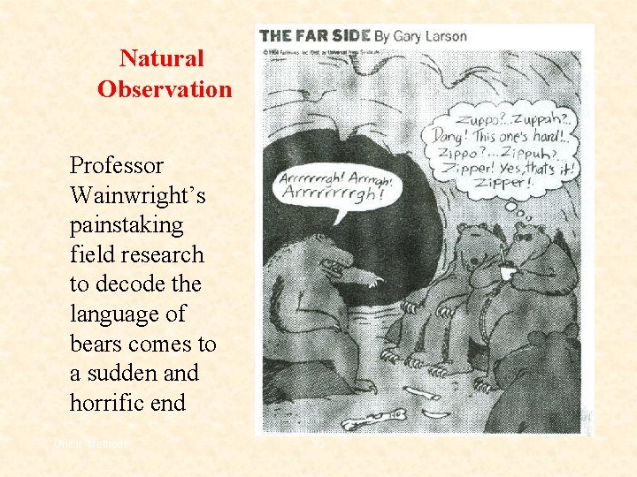Natural Observation Professor Wainwright’s painstaking field research to decode the language of bears comes