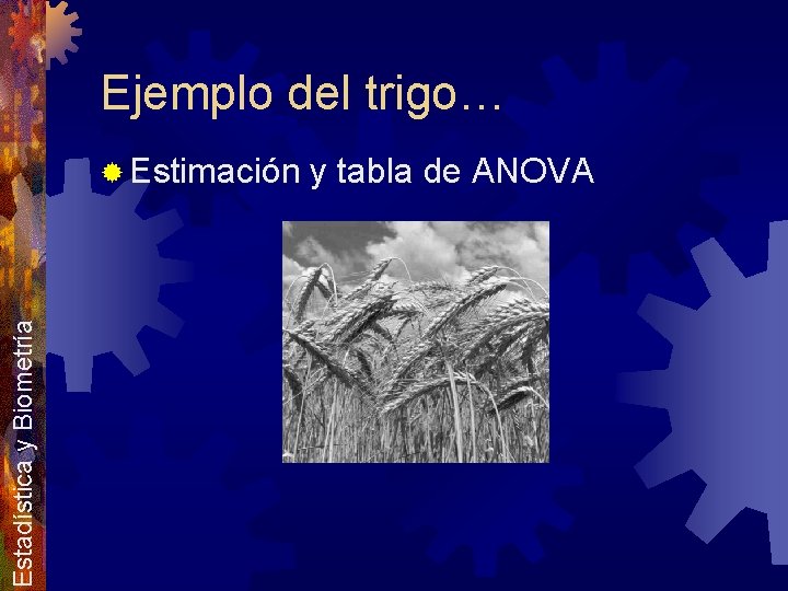 Ejemplo del trigo… Estadística y Biometría ® Estimación y tabla de ANOVA 