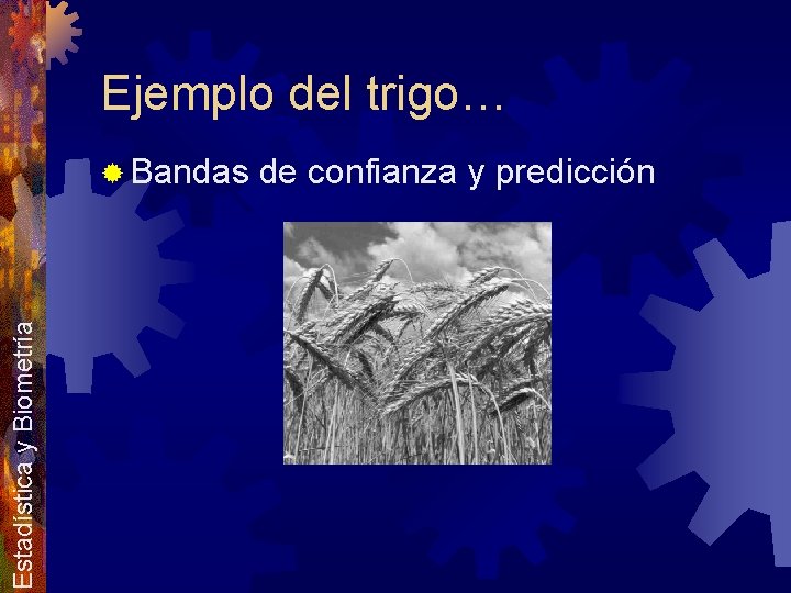 Ejemplo del trigo… Estadística y Biometría ® Bandas de confianza y predicción 
