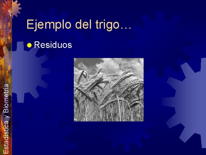 Ejemplo del trigo… Estadística y Biometría ® Residuos 