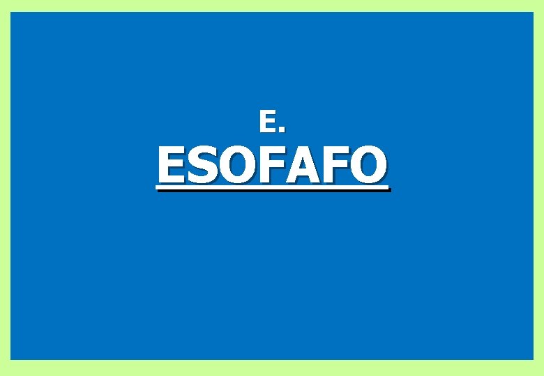 E. ESOFAFO 