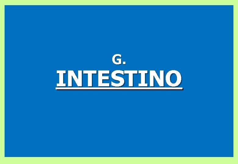 G. INTESTINO 