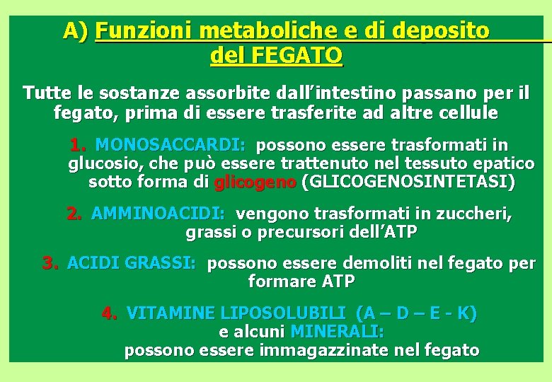 A) Funzioni metaboliche e di deposito del FEGATO Tutte le sostanze assorbite dall’intestino passano