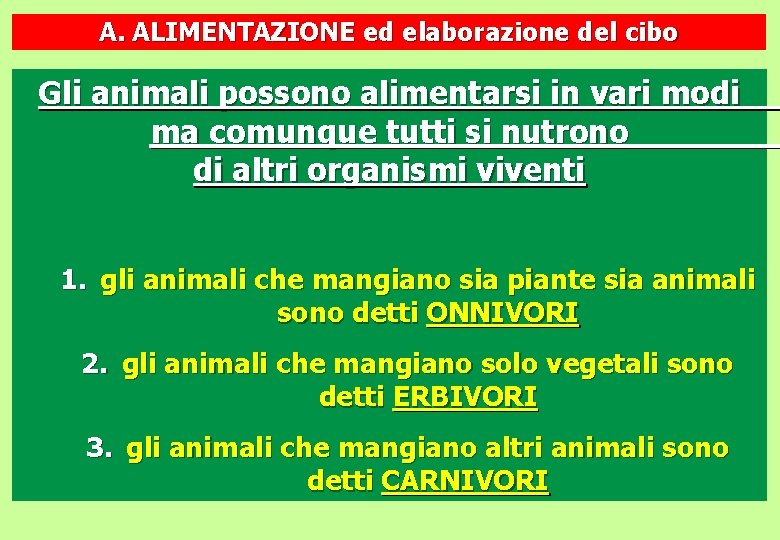 A. ALIMENTAZIONE ed elaborazione del cibo Gli animali possono alimentarsi in vari modi ma