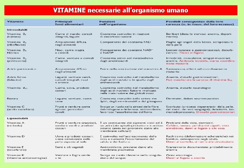 VITAMINE necessarie all’organismo umano 