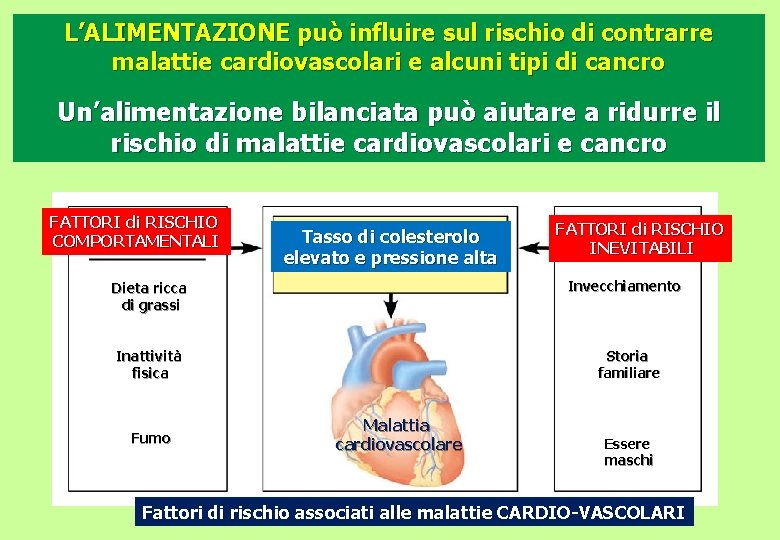 L’ALIMENTAZIONE può influire sul rischio di contrarre malattie cardiovascolari e alcuni tipi di cancro