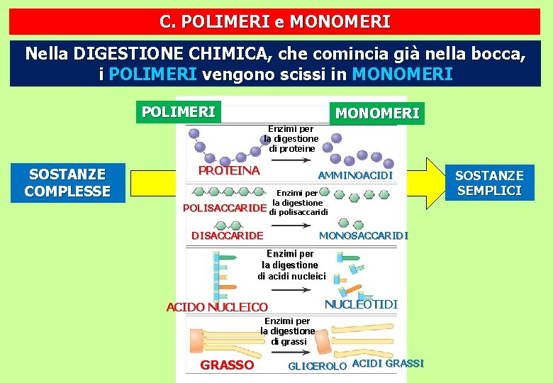 C. POLIMERI e MONOMERI Nella DIGESTIONE CHIMICA, che comincia già nella bocca, i POLIMERI