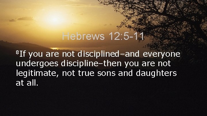 Hebrews 12: 5 -11 8 If you are not disciplined–and everyone undergoes discipline–then you