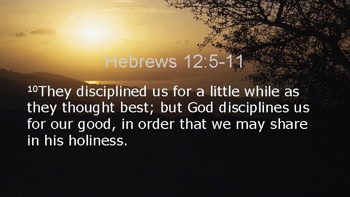 Hebrews 12: 5 -11 10 They disciplined us for a little while as they