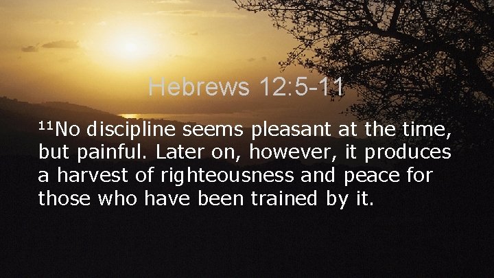 Hebrews 12: 5 -11 11 No discipline seems pleasant at the time, but painful.