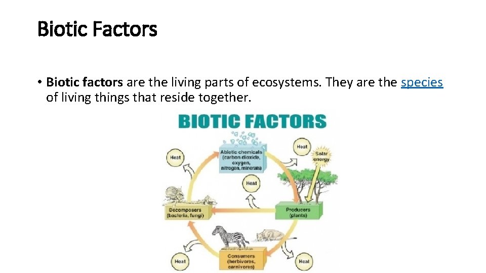 Biotic Factors • Biotic factors are the living parts of ecosystems. They are the