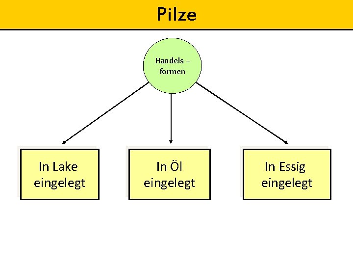 Pilze Handels – formen In Lake eingelegt In Öl eingelegt In Essig eingelegt 