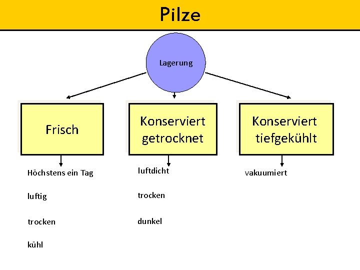 Pilze Lagerung Frisch Konserviert getrocknet Höchstens ein Tag luftdicht luftig trocken dunkel kühl Konserviert