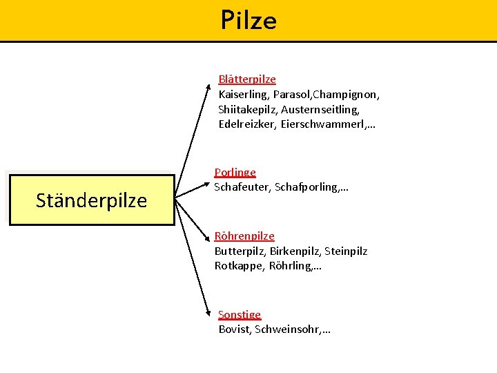 Pilze Blätterpilze Kaiserling, Parasol, Champignon, Shiitakepilz, Austernseitling, Edelreizker, Eierschwammerl, … Ständerpilze Porlinge Schafeuter, Schafporling,