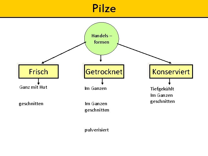 Pilze Handels – formen Frisch Getrocknet Ganz mit Hut Im Ganzen geschnitten pulverisiert Konserviert