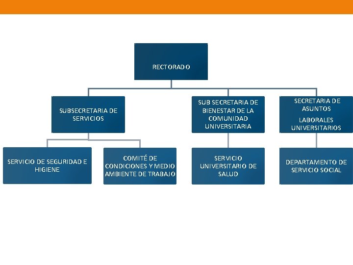 RECTORADO SUBSECRETARIA DE SERVICIOS SERVICIO DE SEGURIDAD E HIGIENE COMITÉ DE CONDICIONES Y MEDIO