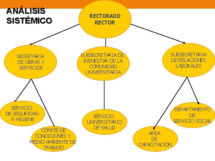 ANÁLISIS SISTÉMICO SECRETARIA DE OBRAS Y SERVICIOS SERVICIO DE SEGURIDAD E HIGIENE COMITÉ DE