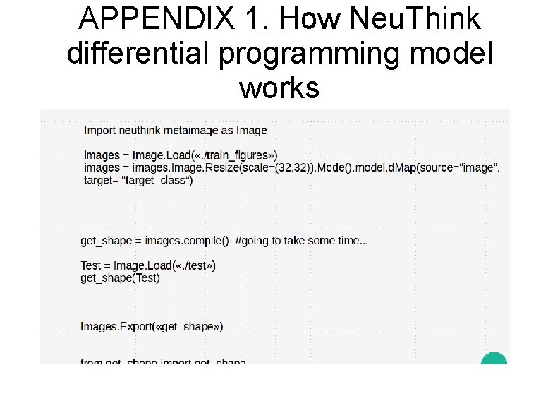 APPENDIX 1. How Neu. Think differential programming model works 