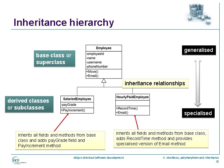 Inheritance hierarchy generalised base class or superclass inheritance relationships derived classes or subclasses specialised
