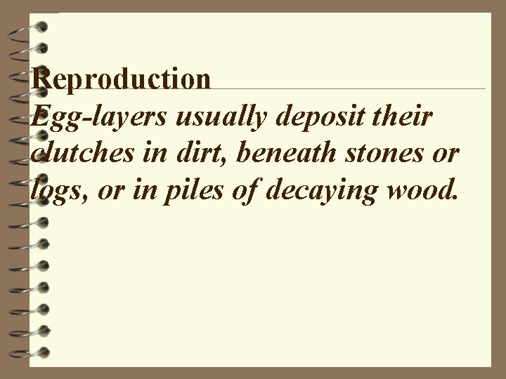 Reproduction Egg-layers usually deposit their clutches in dirt, beneath stones or logs, or in