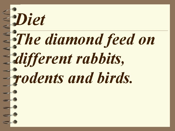 Diet The diamond feed on different rabbits, rodents and birds. 