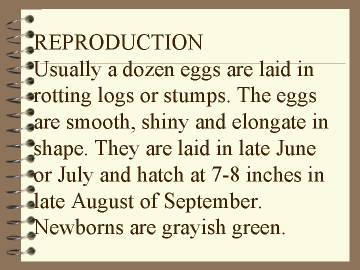 REPRODUCTION Usually a dozen eggs are laid in rotting logs or stumps. The eggs