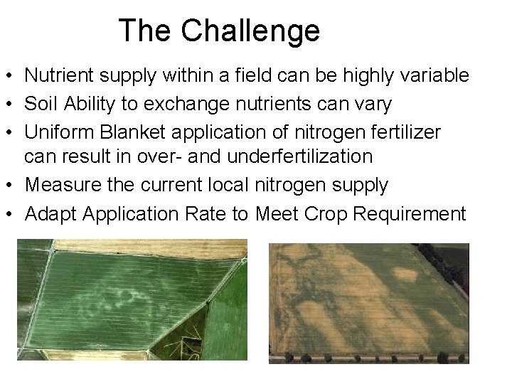 The Challenge • Nutrient supply within a field can be highly variable • Soil