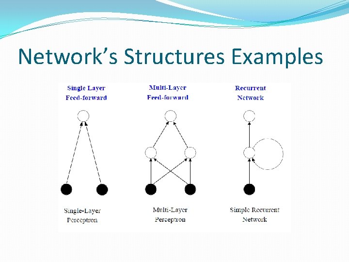 Network’s Structures Examples Network’s Structures Examples