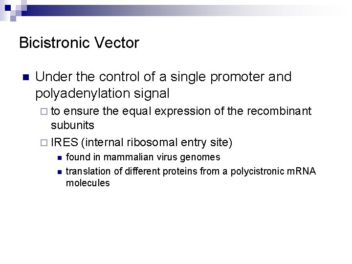 Bicistronic Vector n Under the control of a single promoter and polyadenylation signal ¨