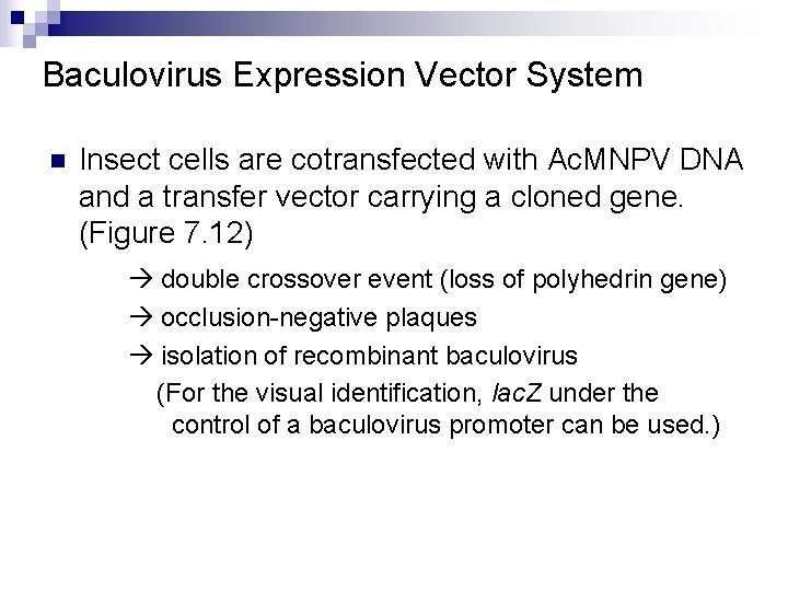 Baculovirus Expression Vector System n Insect cells are cotransfected with Ac. MNPV DNA and