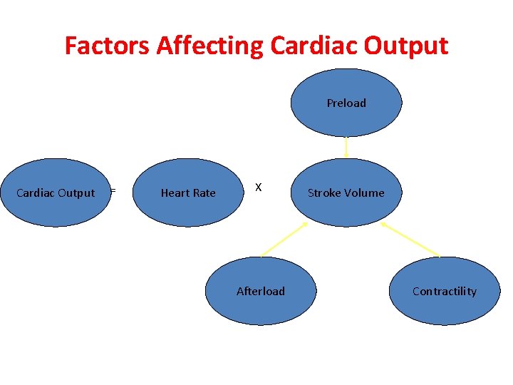 Factors Affecting Cardiac Output Preload Cardiac Output = Heart Rate X Afterload Stroke Volume