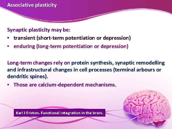 Associative plasticity Synaptic plasticity may be: • transient (short-term potentiation or depression) • enduring Associative plasticity Synaptic plasticity may be: • transient (short-term potentiation or depression) • enduring