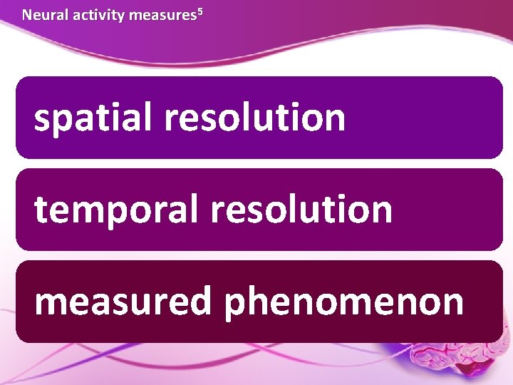 Neural activity measures 5 spatial resolution temporal resolution measured phenomenon  Neural activity measures 5 spatial resolution temporal resolution measured phenomenon