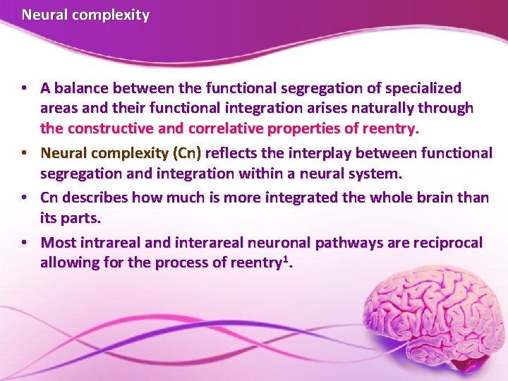 Neural complexity • A balance between the functional segregation of specialized areas and their Neural complexity • A balance between the functional segregation of specialized areas and their