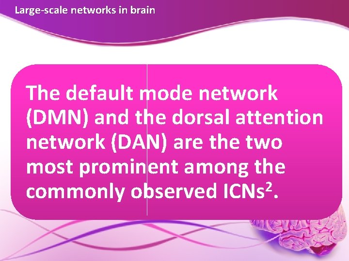 Large-scale networks in brain The default mode network (DMN) and the dorsal attention network Large-scale networks in brain The default mode network (DMN) and the dorsal attention network