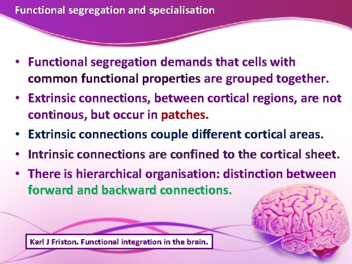 Functional segregation and specialisation • Functional segregation demands that cells with common functional properties Functional segregation and specialisation • Functional segregation demands that cells with common functional properties